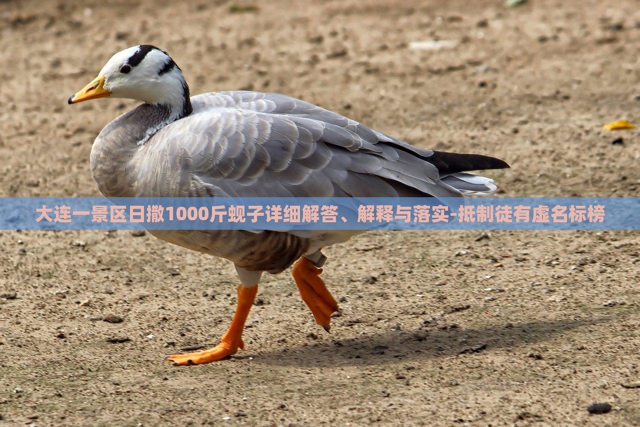 大連一景區(qū)日撒1000斤蜆子詳細(xì)解答、解釋與落實(shí)-抵制徒有虛名標(biāo)榜