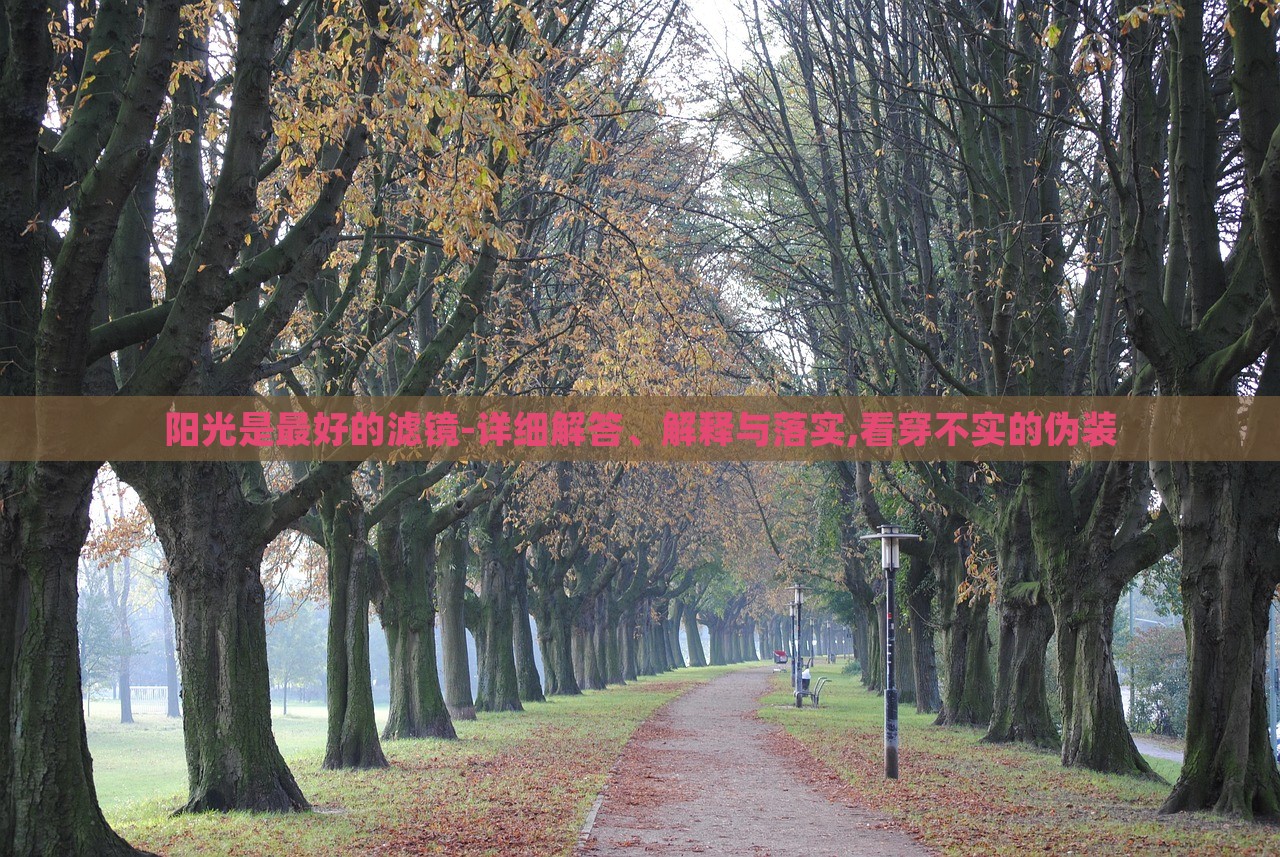 陽(yáng)光是最好的濾鏡-詳細(xì)解答、解釋與落實(shí),看穿不實(shí)的偽裝