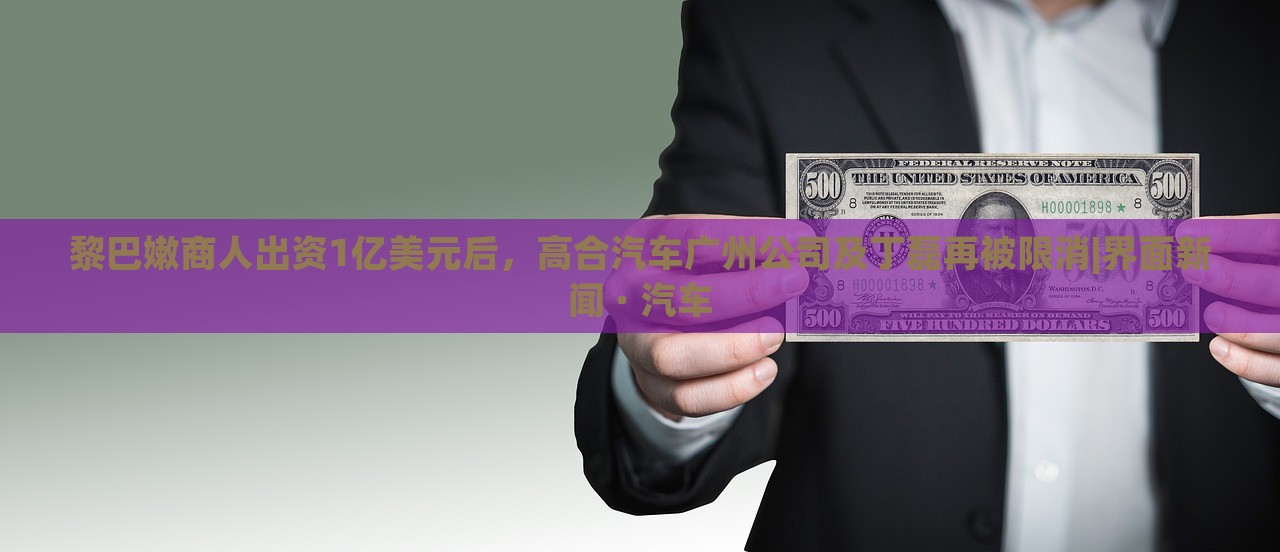 黎巴嫩商人出資1億美元后，高合汽車廣州公司及丁磊再被限消|界面新聞 · 汽車