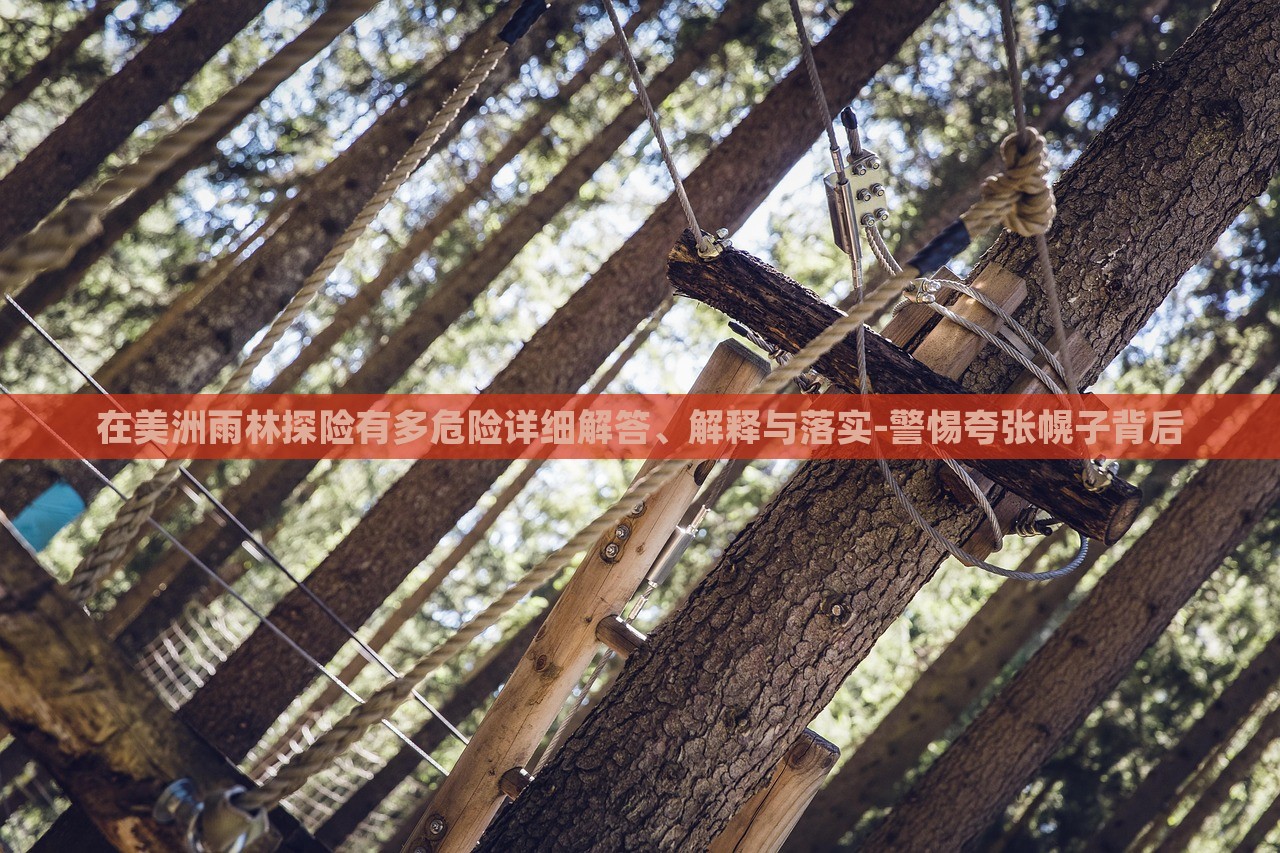在美洲雨林探險有多危險詳細(xì)解答、解釋與落實-警惕夸張幌子背后