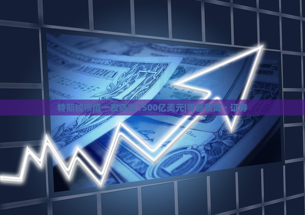 特斯拉市值一夜蒸發(fā)1500億美元|界面新聞 · 證券