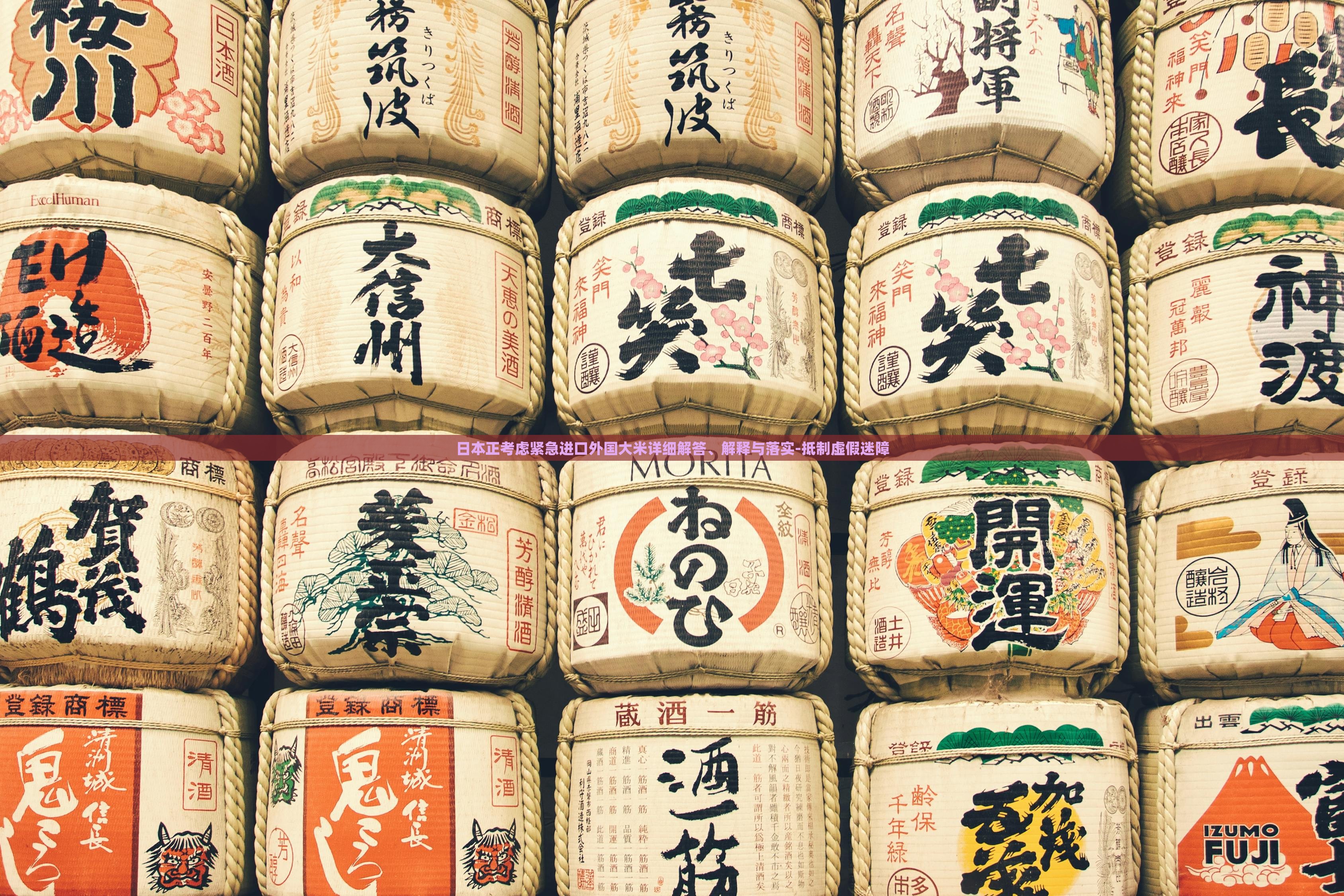 日本正考慮緊急進(jìn)口外國(guó)大米詳細(xì)解答、解釋與落實(shí)-抵制虛假迷障