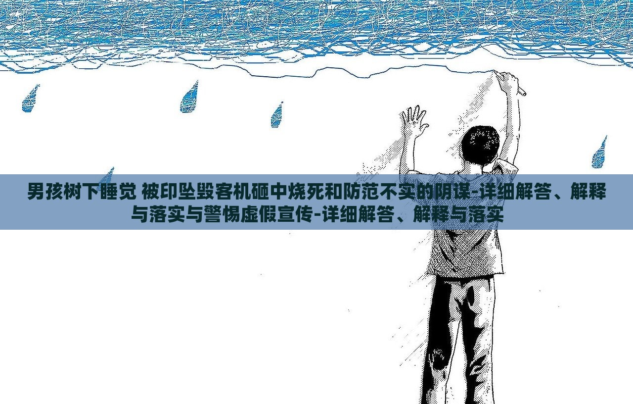 男孩树下睡觉 被印坠毁客机砸中烧死和防范不实的阴谋-详细解答、解释与落实与警惕虚假宣传-详细解答、解释与落实