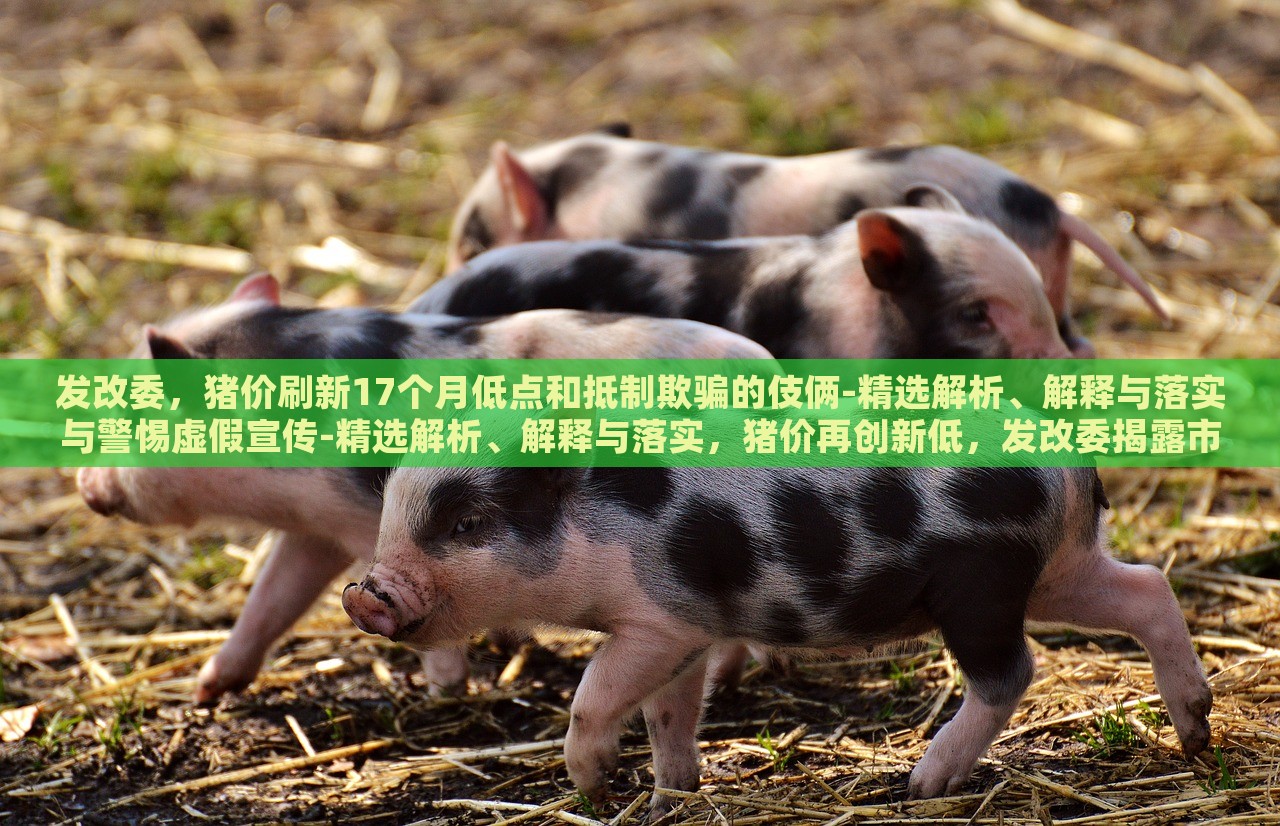 发改委，猪价刷新17个月低点和抵制欺骗的伎俩-精选解析、解释与落实与警惕虚假宣传-精选解析、解释与落实，猪价再创新低，发改委揭露市场伎俩与虚假宣传风险解析