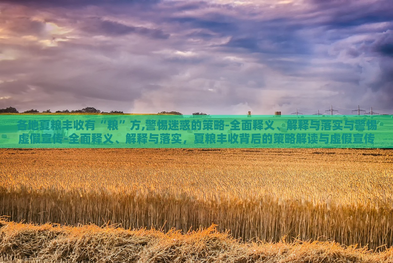 各地夏粮丰收有“粮”方,警惕迷惑的策略-全面释义、解释与落实与警惕虚假宣传-全面释义、解释与落实，夏粮丰收背后的策略解读与虚假宣传警示