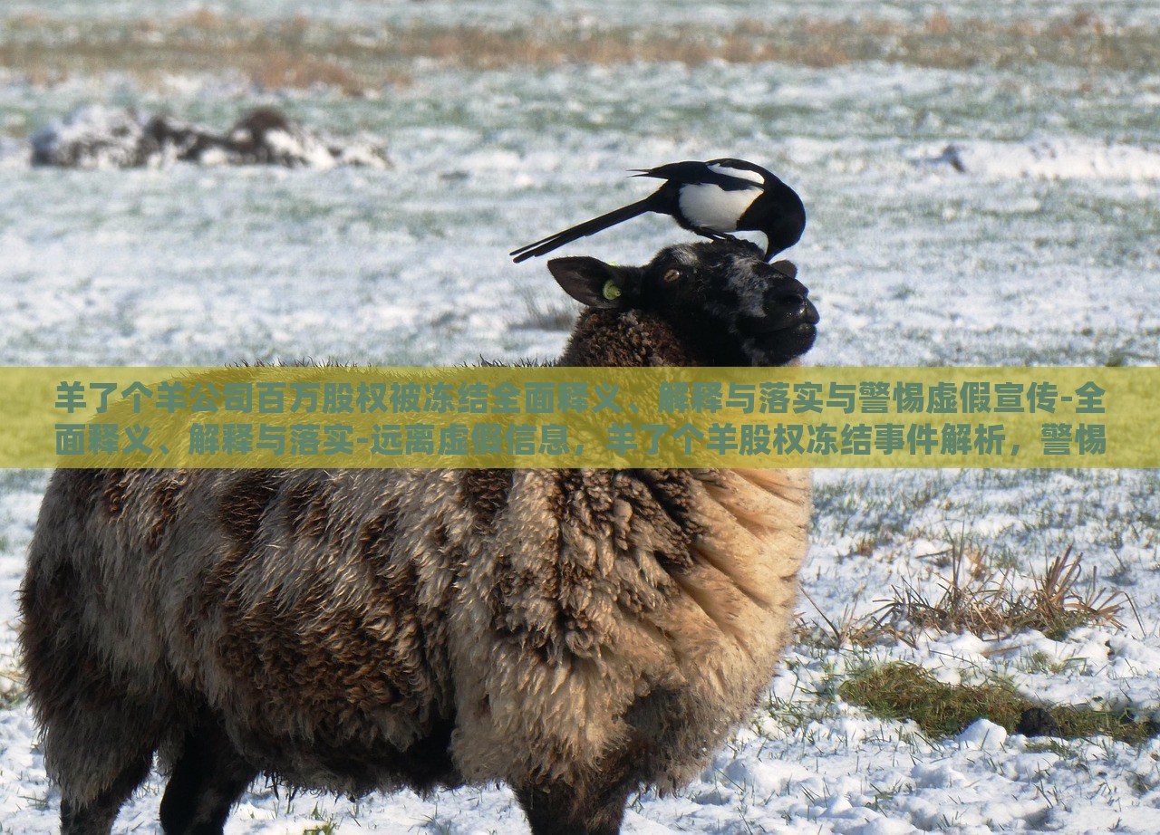羊了个羊公司百万股权被冻结全面释义、解释与落实与警惕虚假宣传-全面释义、解释与落实-远离虚假信息，羊了个羊股权冻结事件解析，警惕虚假宣传风险