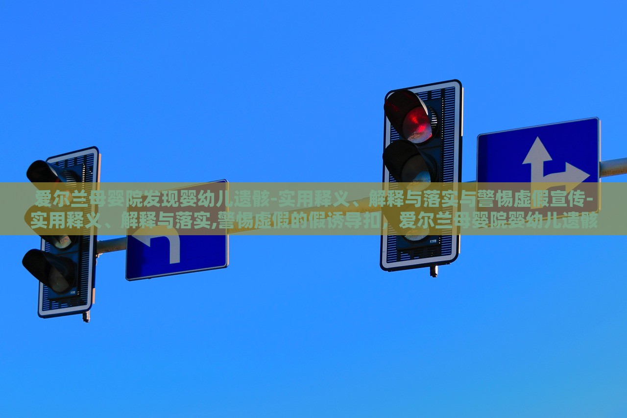 爱尔兰母婴院发现婴幼儿遗骸-实用释义、解释与落实与警惕虚假宣传-实用释义、解释与落实,警惕虚假的假诱导扣，爱尔兰母婴院婴幼儿遗骸事件，真相揭秘与虚假宣传警示