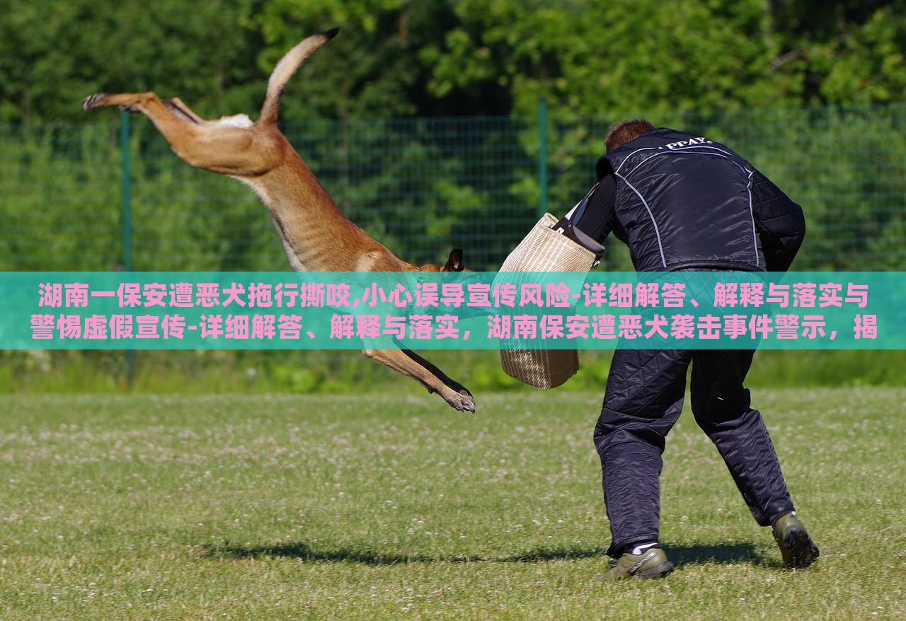 湖南一保安遭恶犬拖行撕咬,小心误导宣传风险-详细解答、解释与落实与警惕虚假宣传-详细解答、解释与落实，湖南保安遭恶犬袭击事件警示，揭秘虚假宣传风险与应对策略