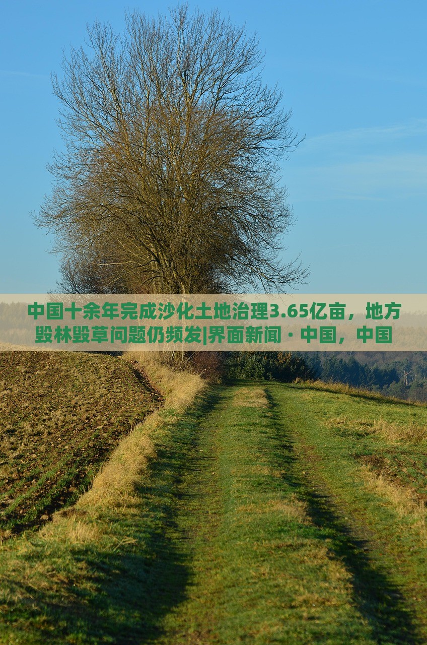 中国十余年完成沙化土地治理3.65亿亩，地方毁林毁草问题仍频发|界面新闻 · 中国，中国沙化土地治理成就显著，地方毁林毁草问题待解