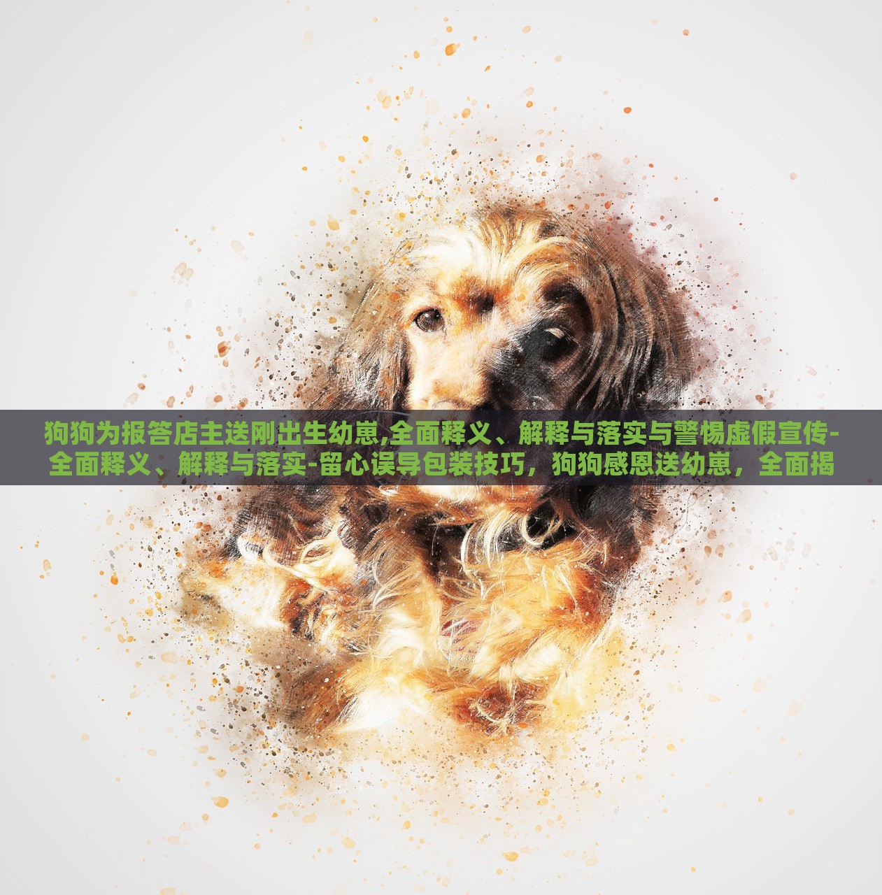 狗狗为报答店主送刚出生幼崽,全面释义、解释与落实与警惕虚假宣传-全面释义、解释与落实-留心误导包装技巧，狗狗感恩送幼崽，全面揭秘真实与虚假宣传的界限